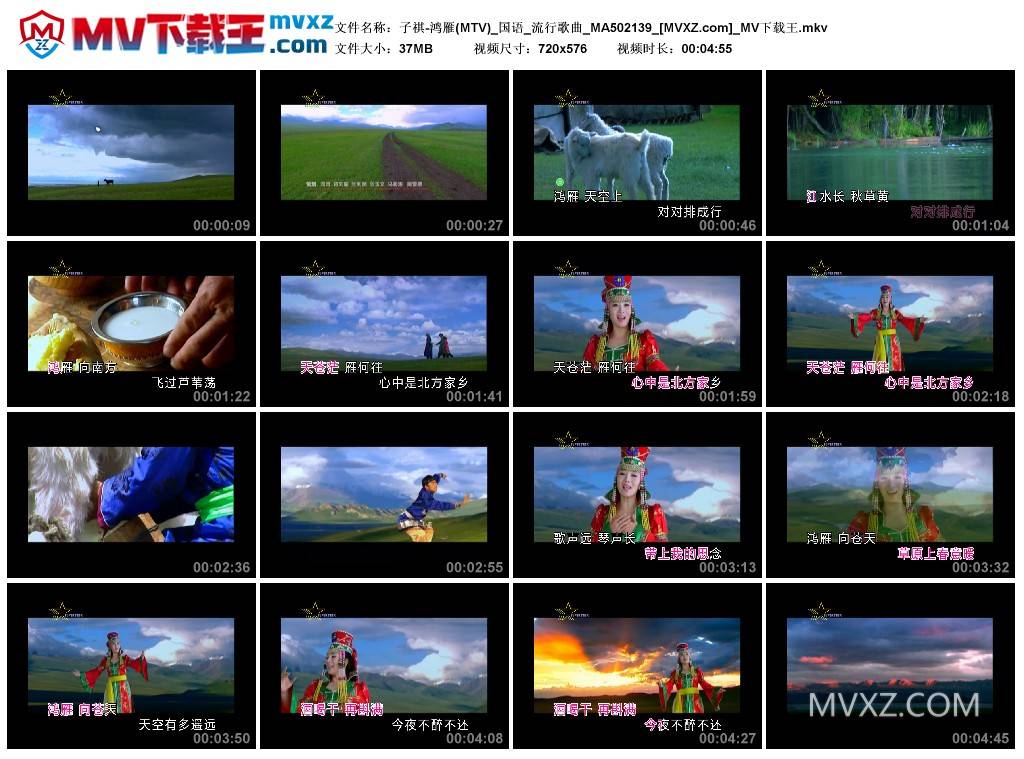 子祺-鸿雁(MTV)_国语_流行歌曲_MA502139